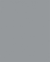 Dekorkarton, 2 oldalas, 50x70cm, 220 g, 10 lap, FOLIA, kőszürke